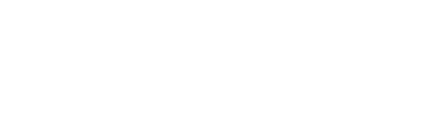 APG Customs